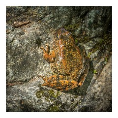 Yuba 10  Found in the River