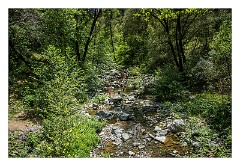 Yuba 15  Jones Bar, Independence Trail