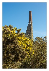Cornwall 24  Disused tin mine between Morvah and Zennor