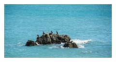 Cornwall 30  Taken from the Island, St Ives