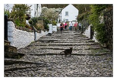 Devon 13  The Main Street in Clovelly