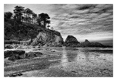 Devon 20  Low Tide at Lee Bay