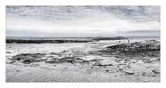 Devon 23  Low Tide Lee Bay