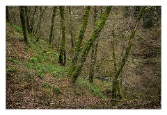 Devon 30  Lydford Gorge - The South West's deepest River Gorge