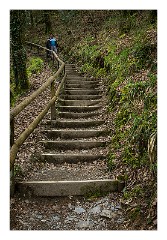Devon 31  Lydford Gorge 3 mile walk with its many ups and downs