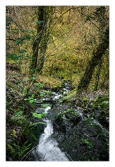 Devon 32  Lydford Gorge