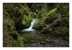 Devon 35  Lydford Gorge - River Lyd