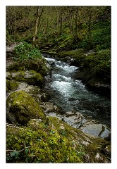 Devon 38  Lydford Gorge