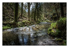 Devon 41  River Lyd - Lydford Gorge