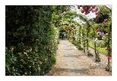 Abbots Ripton Hall 02  The Rose Garden and Walk Way