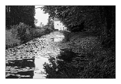 Anglesey Abbey August 12  The Working Mill - August