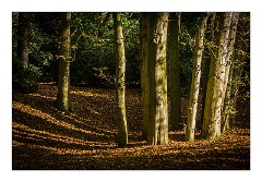 Anglesey Abbey October 02  The beginning of Autumn