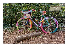 April in Anglesey Abbey 01