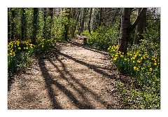 April in Anglesey Abbey 02