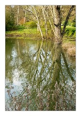 April in Anglesey Abbey 04