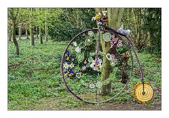 April in Anglesey Abbey 05