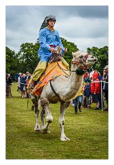 Trinity Park Polo 06  The Slow Camels not too keen to race