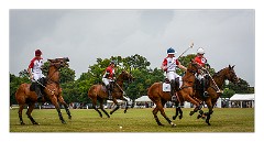 Trinity Park Polo 10  England v Wales
