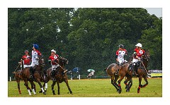 Trinity Park Polo 13  England v Wales