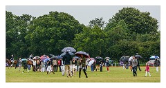 Trinity Park Polo 15  Treading the Divots