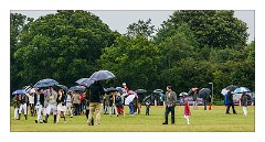 Trinity Park Polo 16  Treading the Divots