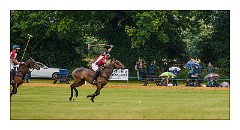 Trinity Park Polo 17  England v Wales