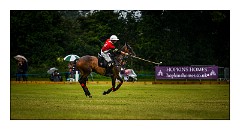 Trinity Park Polo 22  England v Wales