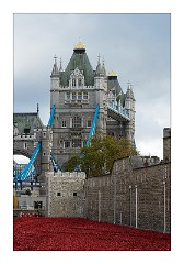 London November 02  The Tower of London