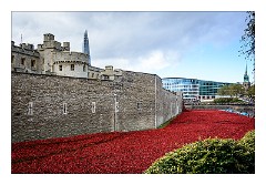London November 03  The Tower of London