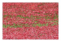 London November 04  Blood Swept Lands and Seas of Red