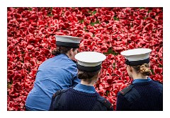 London November 05  Blood Swept Lands and Seas of Red installation