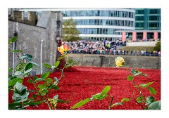 London November 06  Blood Swept Lands and Seas of Red