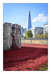 London November 08  Blood Swept Lands and Seas of Red