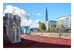 London November 11  Blood Swept Lands and Seas of Red