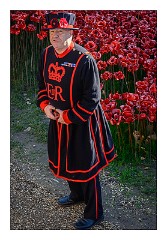 London November 12  A Beefeater - The Yeomen Warders of Her Majesty’s Royal Palace and Fortress the Tower of London, and Members of the Sovereign's Body Guard of the Yeoman GuardExtraordinary, popularly known as the Beefeaters, are ceremonial guardians of the Tower of London. In principle they are responsible for looking after any prisoners in the Tower and safeguarding the British crown jewels, but in practice they act as tour guides and are a tourist attraction in their own right, a point the Yeoman Warders acknowledge.