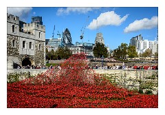 London November 16  Blood Swept Lands and Seas of Red