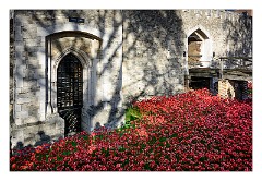 London November 17  Blood Swept Lands and Seas of Red