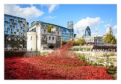 London November 18  Blood Swept Lands and Seas of Red