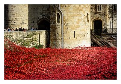 London November 20  Blood Swept Lands and Seas of Red to be finished by the 11 November Armistice Day