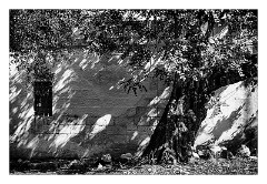 Puglia Monopoli Area 14  Shadows