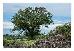 Puglia Monopoli Area 18  View of the Area