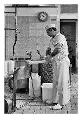 Puglia Monopoli Area 29  Making Buffalo Mozzarella