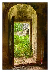 Puglia Monopoli Area 40  Looking through the Door