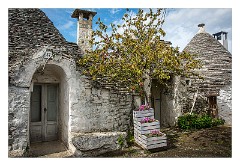 Puglia Monopoli Area 56  Pretty Homes in Trulli Houses
