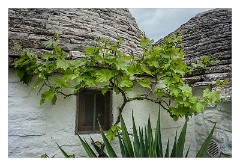 Puglia Monopoli Area 61  Pretty Trulli Home Alberobello