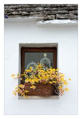 Puglia Monopoli Area 64  Window Box with a Shrine Alberobello