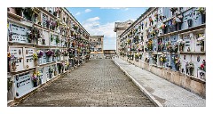 Puglia Monopoli Area 66  Cemetery in the Itria Valley near Alberobello
