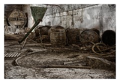 Puglia Lecce Area 048  The Abandoned Winery - Squinzano