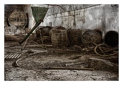 Puglia Lecce Area 048  The Abandoned Winery - Squinzano