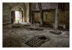 Puglia Lecce Area 049  The Abandoned Winery - Squinzano